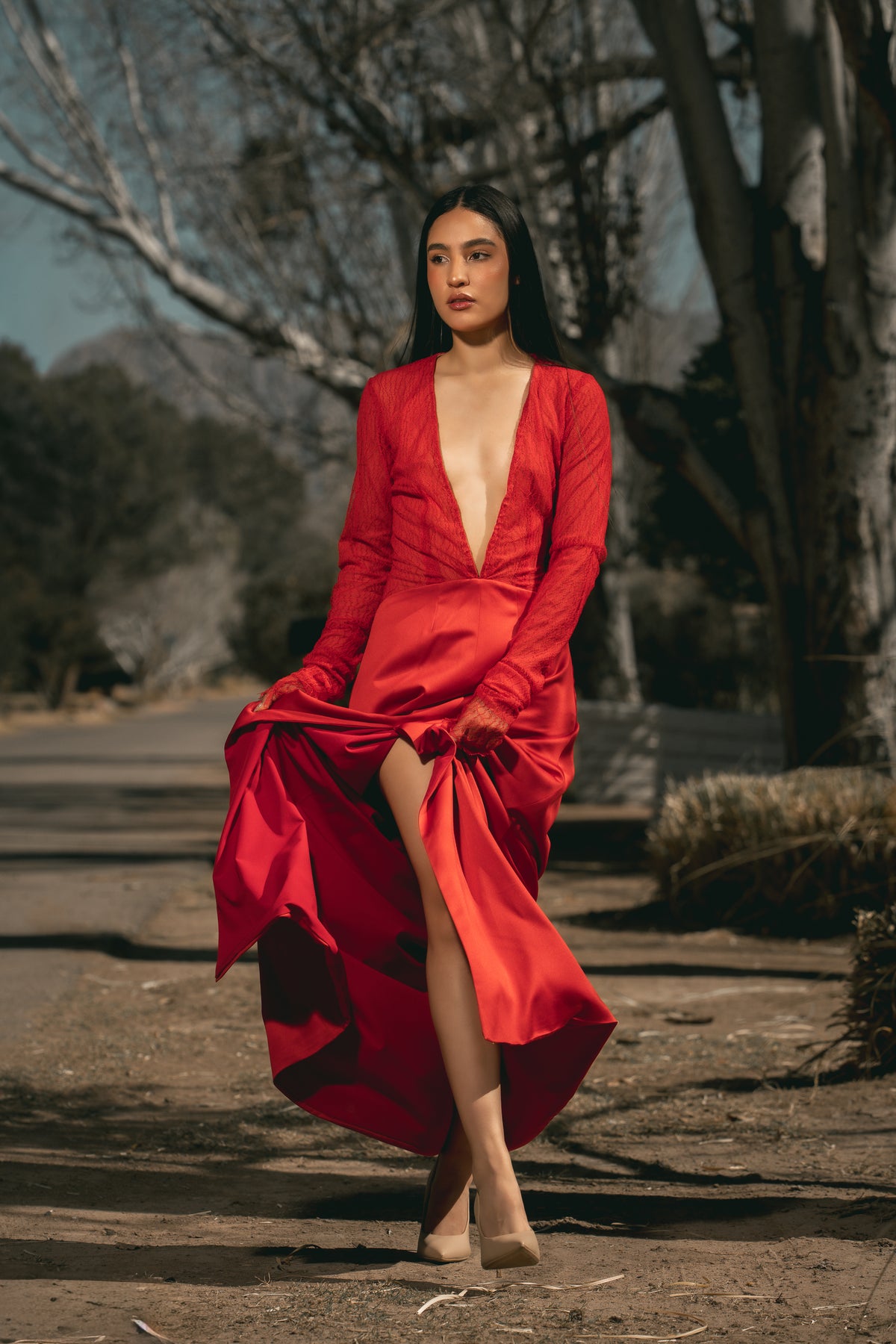 Scarlet Veil
